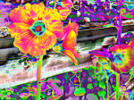 Flowery_Acid_Trip_by_CrystalSister