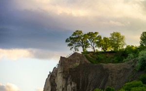 bluffers-park_trees-above-clouds_01