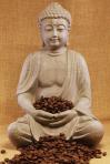 coffee-buddha-falko-follert