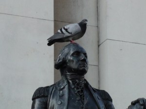 Pigeon-on-Statue